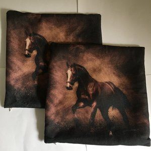 Two 16x16 decorative pillowcases. Horse print on canvas.
